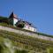 Domaine du Burignon