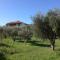 Peaceful home amongst olive groves by the sea