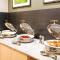 Fairfield Inn & Suites by Marriott Charlotte Uptown