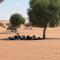 Al Salam Desert Camp Bidiya
