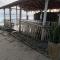 Rangana Beach Rest - 陶尔佩