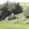 Hedgehog's Hideaway,a peaceful retreat in Nenthead - Alston