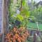 site paradis rue colibri