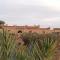 kasbah luna del sur