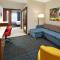 SpringHill Suites by Marriott at Anaheim Resort Area/Convention Center