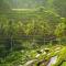 Royal JJ Ubud Resort & Spa - 乌布
