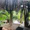 Sigiriya River Side Villa