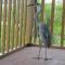 Galapagos Chalet