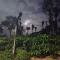 Shivalaya Homestay