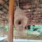 Shivalaya Homestay