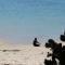 Vilancool Beach Resort - فيلانكولوس