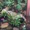 Cabane Tiny Tree House no4 - Beechmont