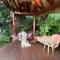 Cabane Tiny Tree House no4 - Beechmont