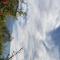 Astraal Resorts and Spa