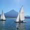 SwissHut Stunning Views Alps Lake - Apart. Ringold Down - 锡格里斯维尔