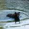 Foto: Bella Coola Grizzly Tours Cabins 46/151