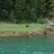 Foto: Bella Coola Grizzly Tours Cabins 57/151