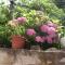 Guest House Rimski Most