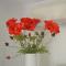 La Frontiere Boutique Accommodation