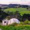 2 Waipu Eco Off-grid Luxury Glamping Seaview Geodesic Dome - Waipu