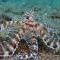 Casa Escondida Anilao Resort And Dive Center - 马比尼