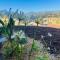 L'Bloom Country Cottage - Tulbagh