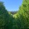 L'Bloom Country Cottage - Tulbagh