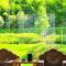 Avatar Hilltop Manor B&B - 张家界