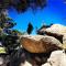 Relaxing Retreat, 900m walk to shops & restaurants