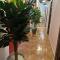 Moorish Cabana Hostel - 非斯