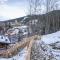 Charming chalet in Salzburg on the ski-slope - Wagrain