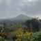 Thotadagadde Homestay
