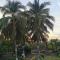 Casa Bugambilias a 100mts de la playa - 拉萨罗卡德纳斯