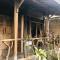 Umah Kayu 1-Menjangan homestay - 班尤温当