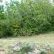 Camping des Templiers - Le Caylar - 勒凯拉