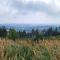 Apartament Mountains Góry Sowie