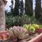 Traditional House with Loft -Michalis House in Kouramades-