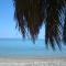 Evoikos beach & resort