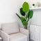 Dream & Relax Apartment
