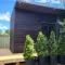 Enchanting Tiny Home in Vibrant - Hosted by Canstay