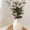 Noosa Palm Beach Retreat - Stylish Coastal Suite