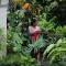 Sari Gong Guest House, A Trishula Collection - Ubud
