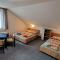 Pension 444 - Ski Resort Herlikovice and Bubakov