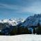 Lissis Alpennest