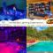 Ryes and Shine Bootlegger's Cabin! Hot Tub* Pool* Arcade* Billiards *EV * Pet Friendly