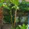 Marias House, With Garden