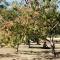 Sudoeste, home office, vaga coberta e local nota10