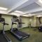 SpringHill Suites by Marriott Houston Downtown/Convention Center