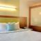 SpringHill Suites by Marriott Scranton Montage Mountain