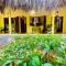 Mango Home Riverside Eco - Resort